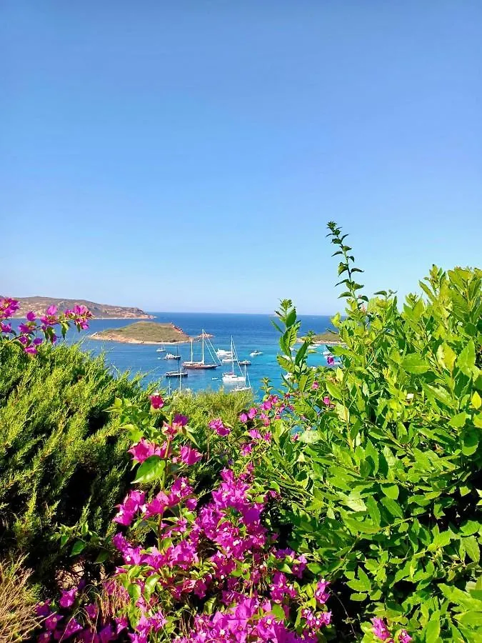 San Teodoro Punta Est Stupendo Trilocale Vista Mare Apartment Capo Coda Cavallo Italy